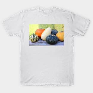 pumpkins and gourds T-Shirt